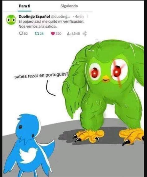 memes de duolingo